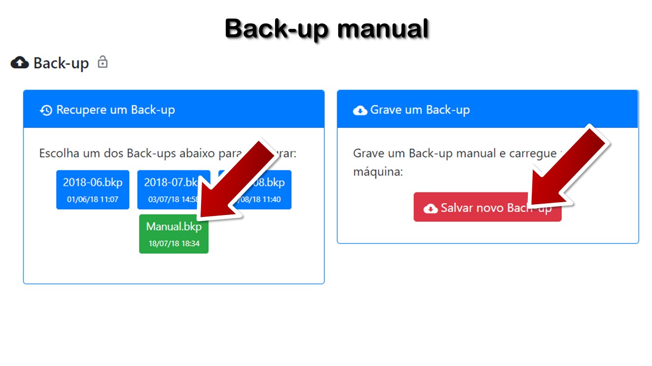Back-up manual